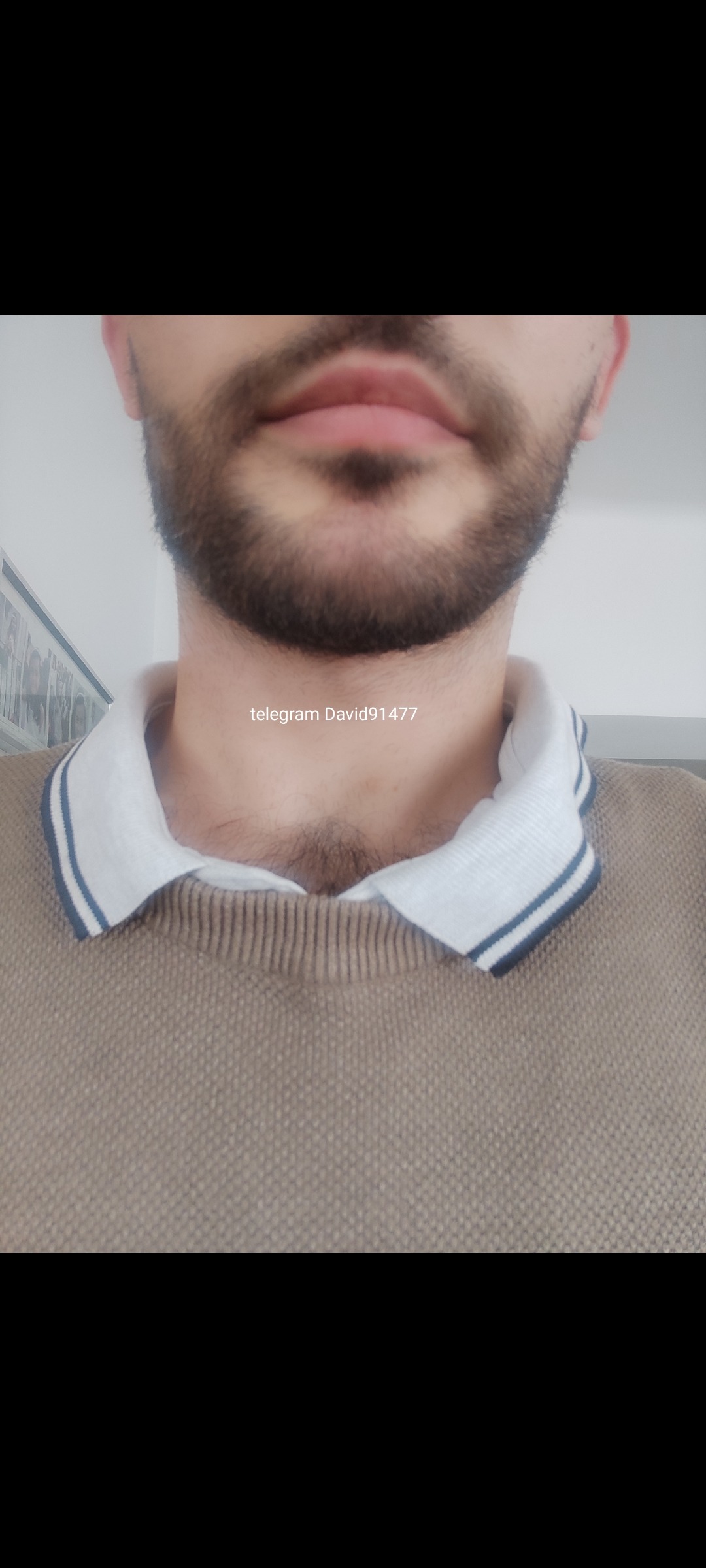 Profilo di Branislav