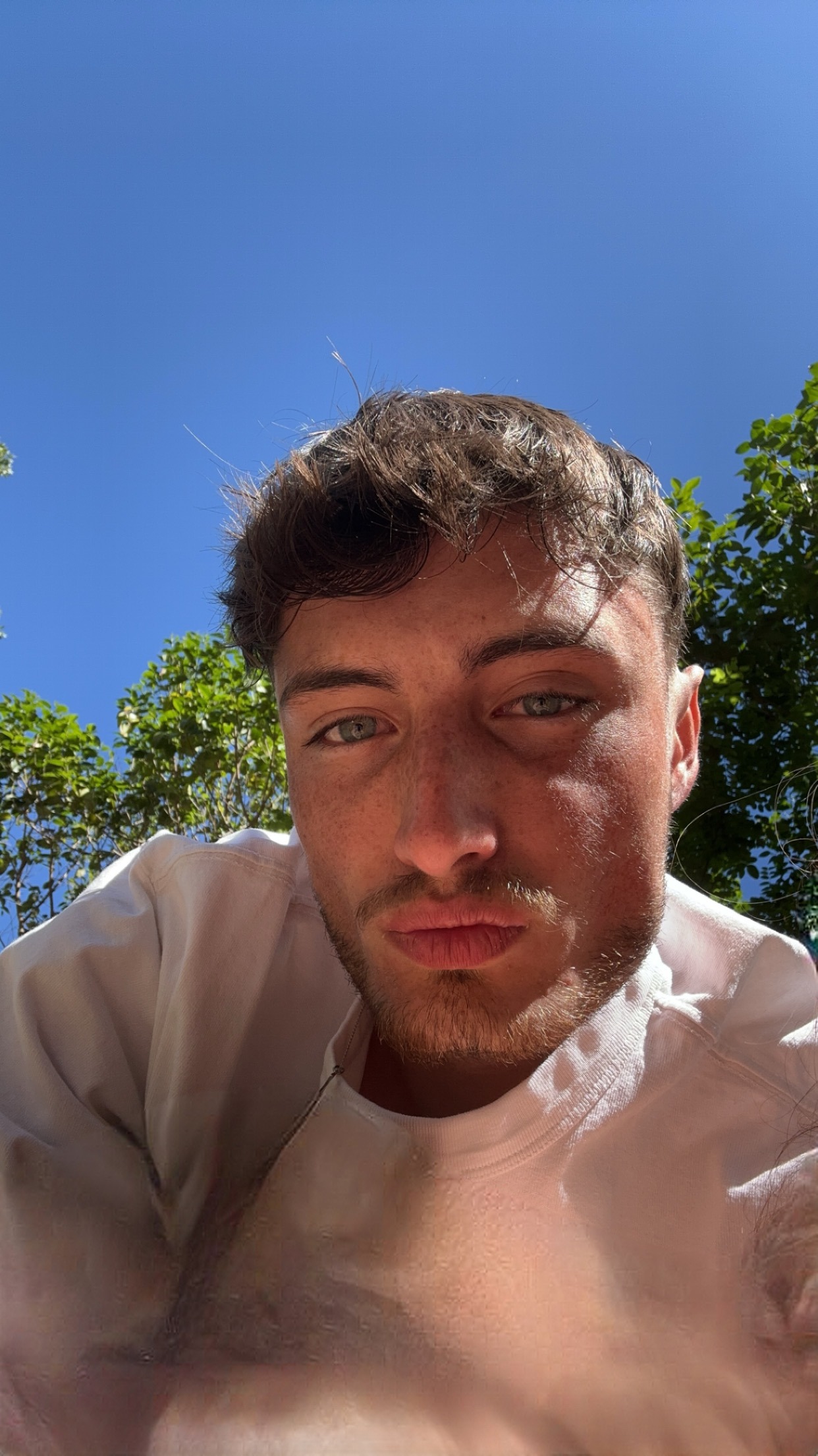 Profilo di Circoncis