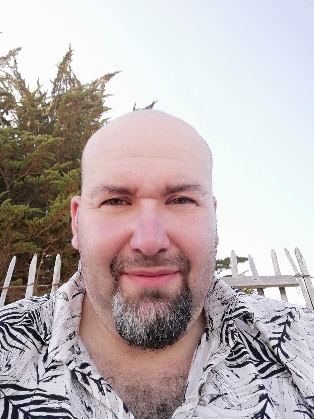 Profilo di Priscillien